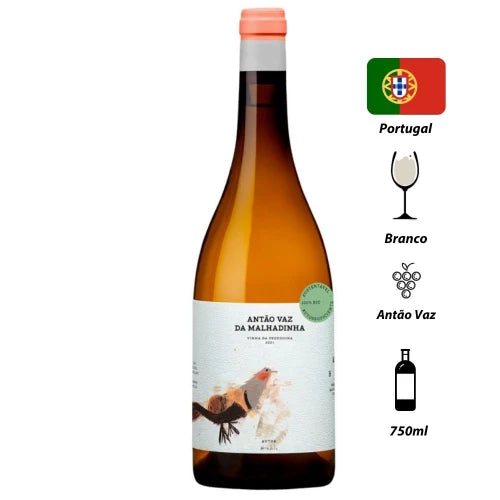 Vinho Branco Antão Vaz Da Peceguina 2021