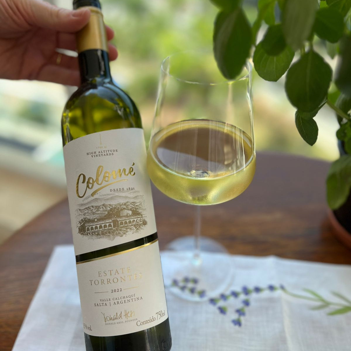 Vinho Branco Colomé Torrontés Estate