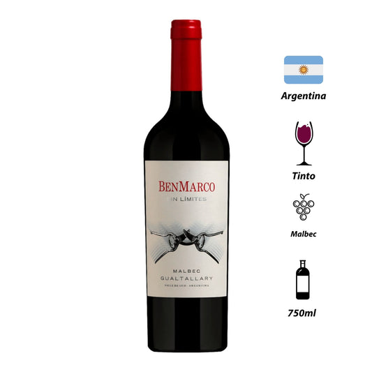 Vinho Tinto BenMarco Sin Limites Malbec 2018