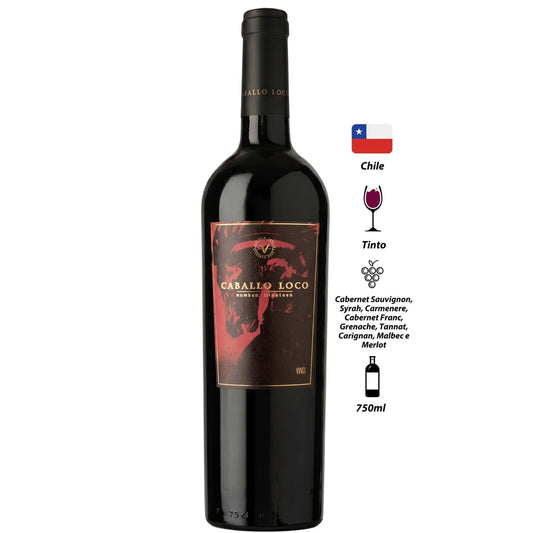 Vinho Tinto Caballo Loco Nineteen
